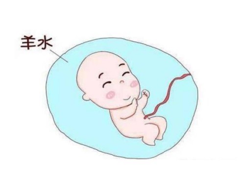 子宫腺肌症患者试管时注意这些事项圆你母亲梦